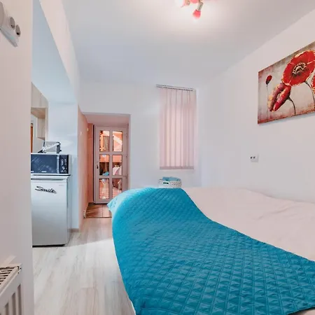 Old Town Studio Brasov